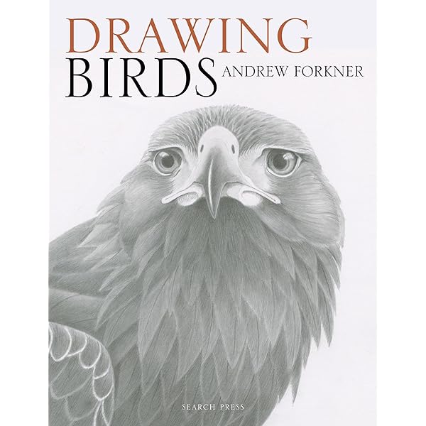 Birds : The Art of Ornithology　絶滅鳥 Birds : The Art of Ornithology絶滅鳥